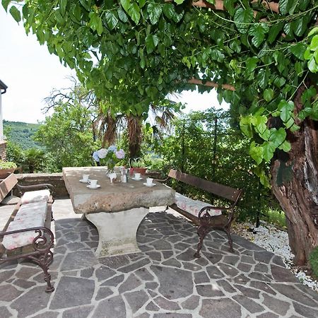 Country House Gazon Konuk evi Šmarje Dış mekan fotoğraf