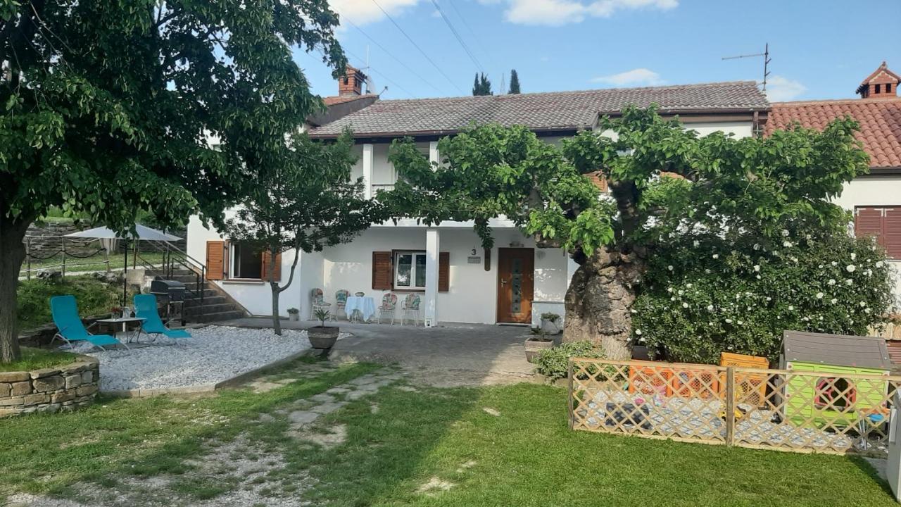 Country House Gazon Konuk evi Šmarje Dış mekan fotoğraf