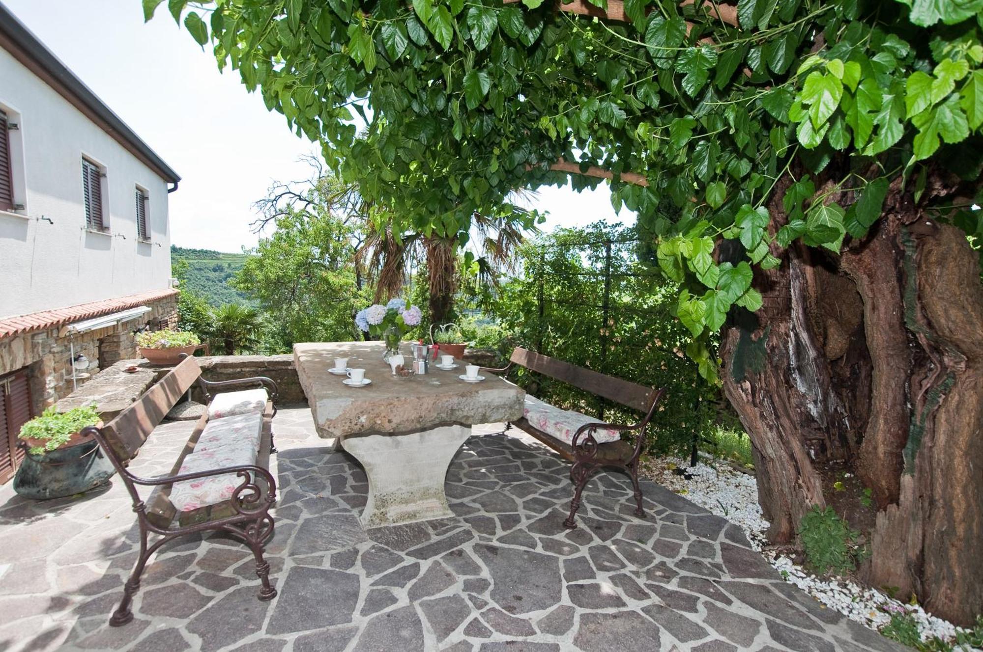 Country House Gazon Konuk evi Šmarje Dış mekan fotoğraf